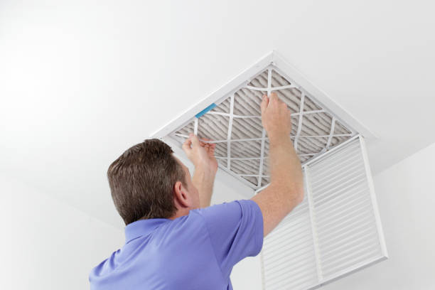 Best Air Quality Test  in Belmont Estates, VA